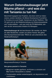 lokale Helfer in grünen Shirts, die junge Bäume in schlammigem Küstenboden setzen. Die Szene strahlt tropisches Licht aus, mit einem leicht bewölkten Himmel im Hintergrund. Es ist ein Moment der Hoffnung und des Handelns
