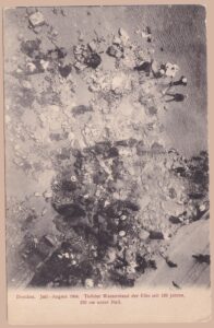 Sepiafarbene historische Ansichtskarte vom Elbe-Niedrigwasser in Dresden im Sommer 1904: Das nahezu trockengefallene Flussbett zeigt Dutzende Menschen, „Die Schatzgräber“, die den freigelegten, steinigen Grund absuchen. Verlag Gebr. Schelzel, Dresden – tiefster Wasserstand seit 100 Jahren, 220 cm unter Null, ein eindrucksvoller Beleg für historisches Extremwetter an der Elbe.